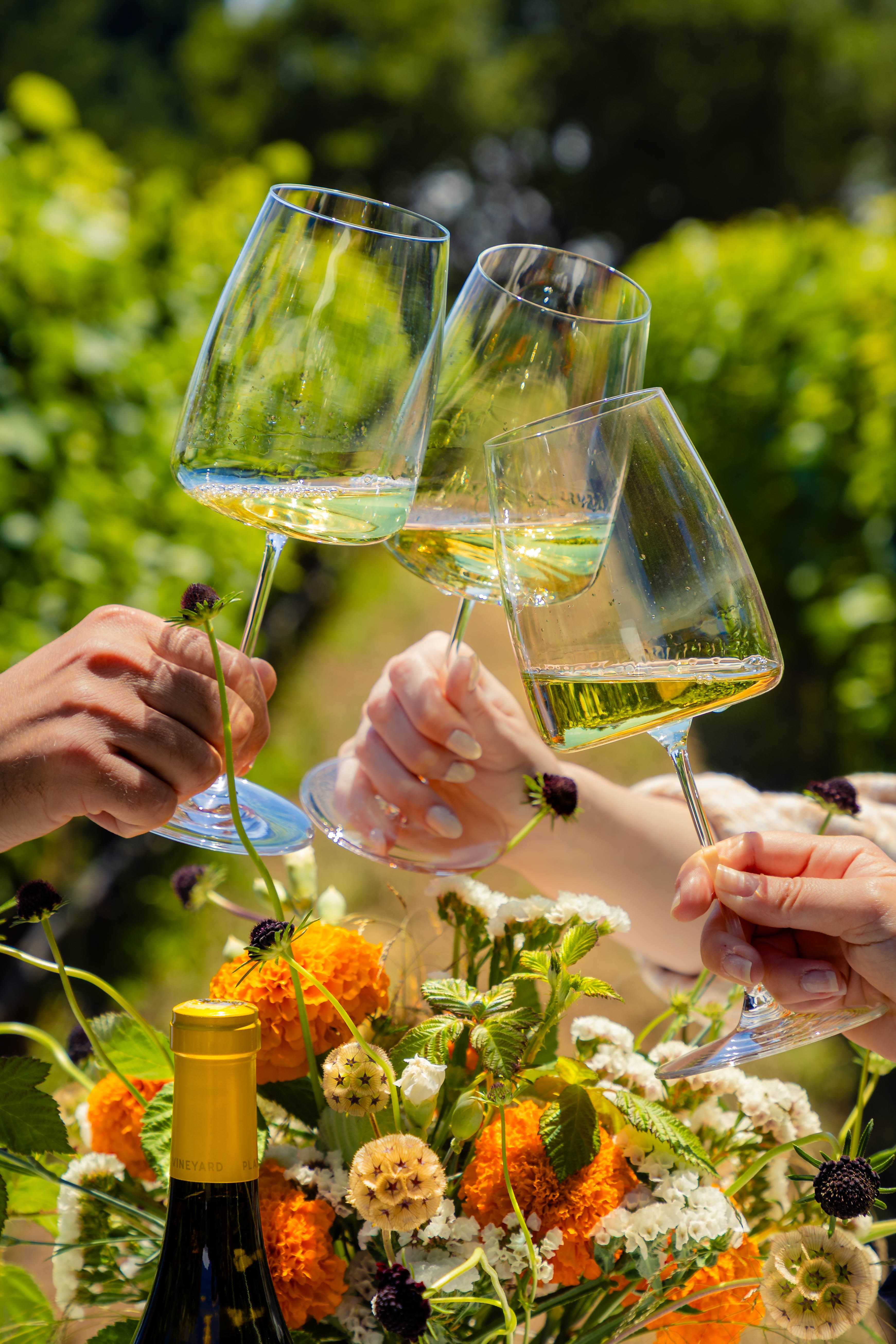 Estate Reserve Chardonnay