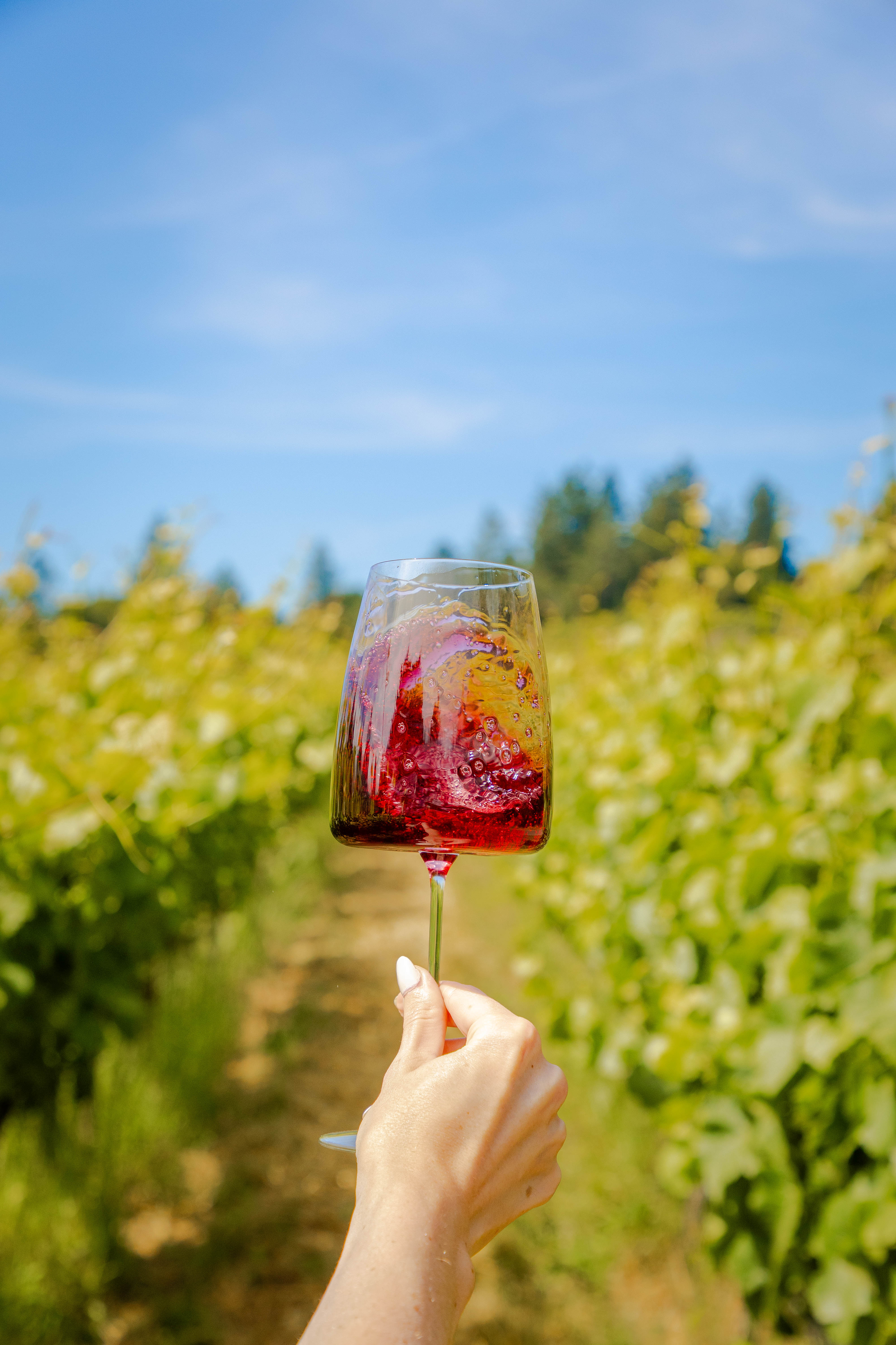 Estate Reserve Pinot Noir